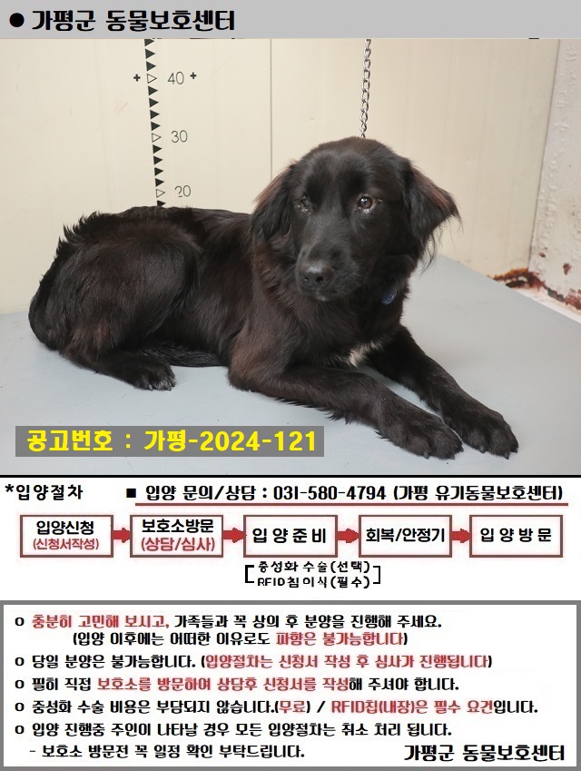 가평군유기동물보호소_441416202400453